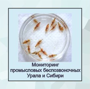 беспозвоночные