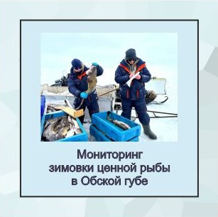 зимовка в обской губе