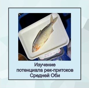 средняя обь