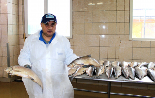 Технологи Тюменского филиала ВНИРО создают научные обоснования для производства рыбной продукции