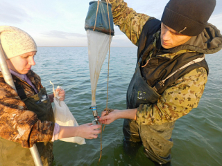 Проведение гидробиологических исследований на озерах Алтайского края