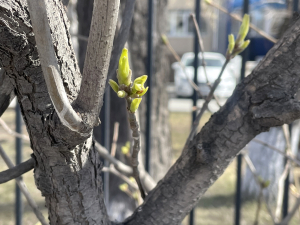 Вместе &ndash; за чистоту!