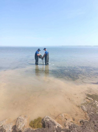 Исследования промысловых беспозвоночных сибирских водоемов