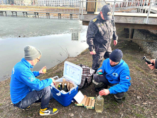Причины гибели рыбы в озере Тихом (Цыганском) устанавливаются