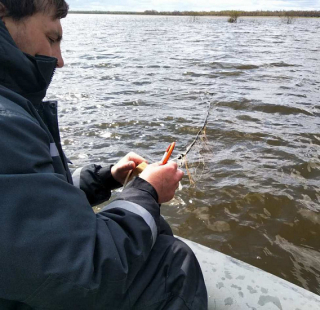 Сотрудниками лаборатории рыбохозяйственной экологии осуществлен экспедиционный выезд на реку Иртыш