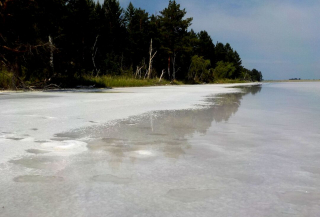 Учёные АлтайНИРО провели мониторинговые исследования  гипергалинных и солоноватых водоёмов