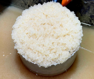 Новый рыбоводный сезон: ТВ-репортаж